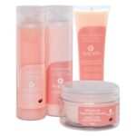 Kit Capilar Cabelos Secos Danificados ou Tingidos